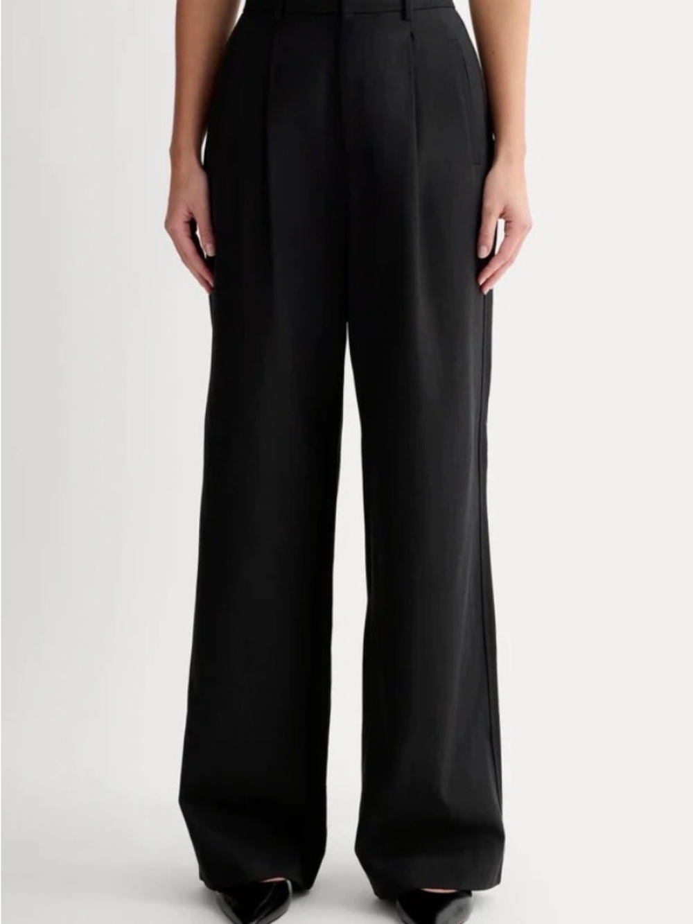 Everlane The Draper High-Waist Wide-Leg Trousers in Buttersmooth